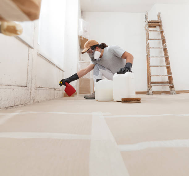 Best Mold Remediation for Healthcare Facilities  in Midway, FL